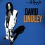 David Lindley - Rayo-X