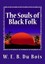The Souls of Black Folk by W E B Du Bois (Paperback / softback, 2013)