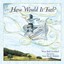 How Would it Feel? by Mary Beth Goddard (Hardback, 2005)
