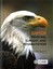 Raptor Medicine, Surgery and Rehabilitation by David Scott (Hardback, 2016)
