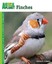 Finches by Rebecca K O'Connor (Paperback / softback)