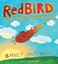 Redbird: Colors, Colors, Everywhere! by Barney Saltzberg (Hardback, 2015)