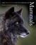 NEW The Princeton Encyclopedia of Mammals