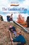 The Genius of Play: Celebrating the Spirit of Childhood by Sally Jenkinson...