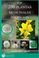 NEW Las 200 Plantas Medicinales más eficaces (Spanish Edition)