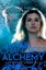 Chantress Alchemy - Hardcover NEW Amy Butler Gree 2014-05-06