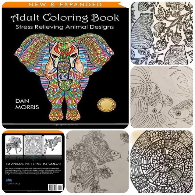 Creative Adult Art Coloring Book Animals Mandelas Design Fun Relaxing Therapy
