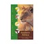 Southern Africa by C. Stuart, T. Stuart, B. Branch (Paperback, 2013)