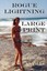 Rogue Lightning Large Print: A unique western action adventure (Spirit Animal) (