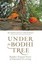 Under the Bodhi Tree: Buddha's Original Vision of Dependent Co-Arising.