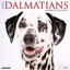 Just Dalmatians 2017 Wall Calendar (Dog Breed Calendars) by Willow Creek Press
