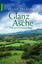 Glanz und Asche Frank Delaney