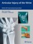 Garcia-Elias, Marc: Articular Injury of the Wrist