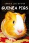 NEW Guinea Pigs - Sandie Lee Books by Curious Kids Press