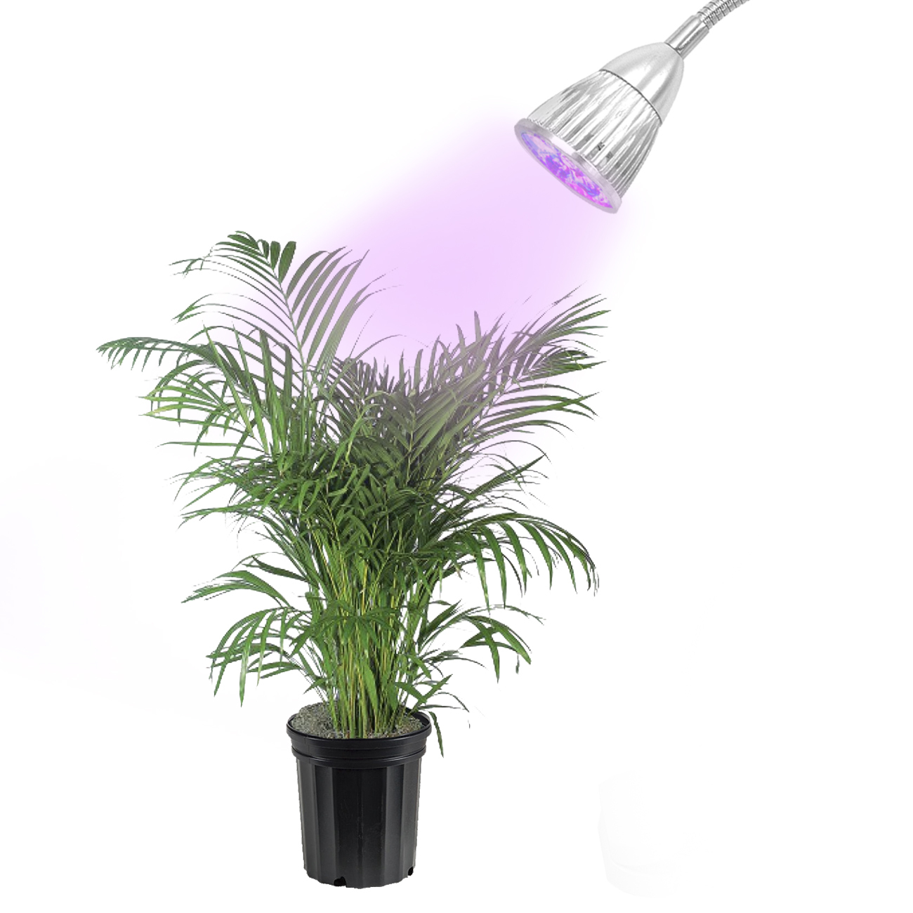 Led Concepts Grow Light For Hydroponics Greenhouse 360 Flexible Clip Picture 1 Of 6