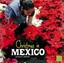 Christmas in Mexico by Cheryl L Enderlein 9781620651384 (Hardback, 2013)