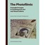 The Photofilmic: Entangled Images in Contemporary Art a - Paperback NEW Brianne