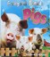 Pigs (Farmyard Friends) by Camilla De la Bedoyere (New Lge S/C)