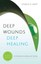 Deep Wounds, Deep Healing An Introduction to Deep-Level Healing 9780800796730