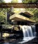 Frank Lloyd Wright's Fallingwater: The House and its History by Donald...