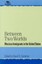 Between Two Worlds: Mexican Immigrants in the United States by David G. Gutizrre