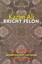 Bright Felon by Kazim Ali 9780819572769 (Paperback, 2012)
