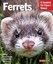 Ferrets: Barron's Pet Owner's Manual by Christine Mathis.