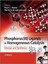 Phosphorus(III)Ligands in Homogeneous Catalysis: Design and Synthesis by John...