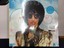 Prince Vinyl Art Offical Age