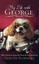 My Life George What I Learned about Joy One Neurotic ( by Summers Judith