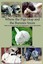NEW Where the Pigs Hop and the Bunnies Snore by Karen Tobler