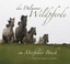 Die Dülmener Wildpferde in Merfelder Bruch ~ Jörg Gierse ~ 9783877167083