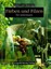 Färben und Filzen für jedermann von Maria Karl; Andrea Karl-Schurian (Buch) NEU