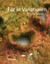 Smith, Sheila: Filz in Variationen, Taschenbuch