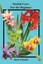 Orchid Care: For the Beginner by Barb Schmidt (Paperback / softback, 2016)