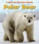 Polar Bear by Katie Marsico (Paperback / softback, 2011)