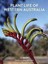 NEW Plant Life of Western Australia By J.S. Beard Hardcover Free Shipping