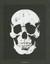 Poisons and Remedies by Damien Hirst (Paperback, 2011)