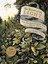 The Return of the Light: Twelve Tales from Around the World for the Winter...