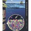 Microbiology: Applications and Connections Wessner, David/ Dupont, Christine/ Ch