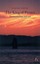 The King of Pirates (Hesperus Classics) by Daniel Defoe.