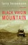 Black Virgin Mountain: A Return to Vietnam by Larry Heinemann (Paperback /...