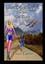 Lilium Saffron Dewbell, Part Two by Kevin Lomas (English) Paperback Book Free Sh