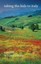 Taking the Kids to Italy by Roland Merullo (English) Paperback Book Free Shippin