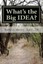 NEW What's The Big Idea? by Dr Robert J Metty Jr BOOK (Paperback / softback)
