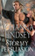 LINDSEY,JOHANNA-STORMY PERSUASION BOOK NEW