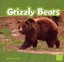 Grizzly Bears by Molly Kolpin (Paperback / softback, 2011)