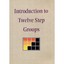 INTRODUCTION TO TWELVE STEP GROUPS DVD (2435) (DVD) Hazelden Publishing