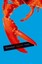 Angerichtet, Geschenkbuch Koch, Herman KiWi Paperback