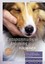 Freiling:Entspannungstraining für Hunde